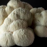 Lion’s Mane mushroom clusters fresh hericium erinaceus close up natural functional mushroom