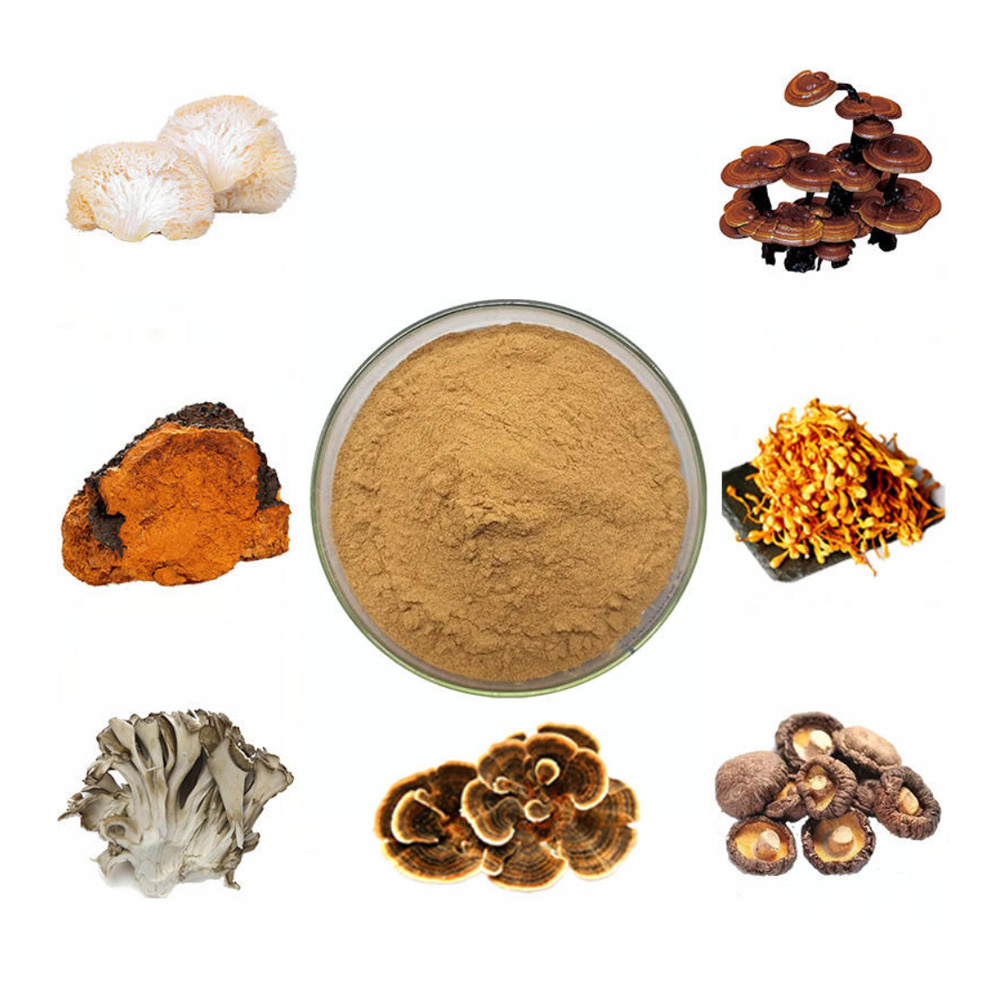Ancient-7-Organic-Mushroom-Powders-3