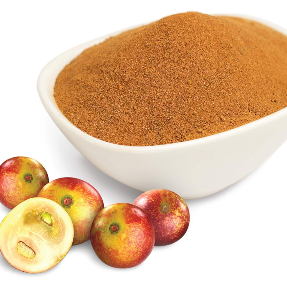 Camu-Camu-Organic-Powder-1
